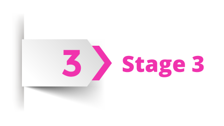 Stage 3
