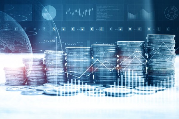  Growth Hub